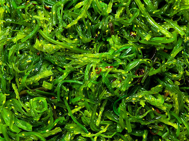 Edible Seaweeds Market